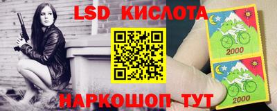 прущие грибы Ирбит